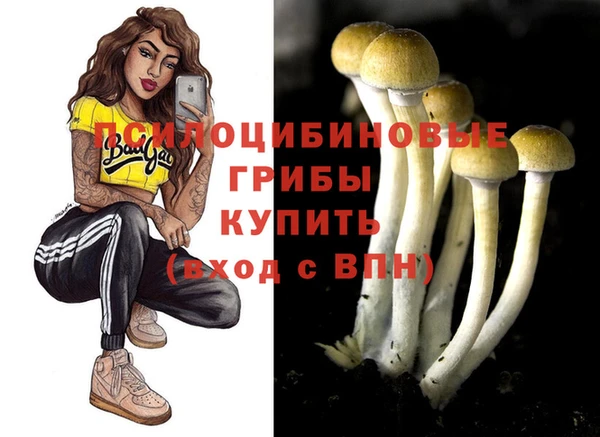 спайс Баксан
