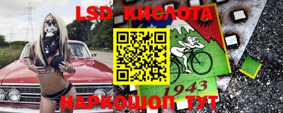 шишки Свободный