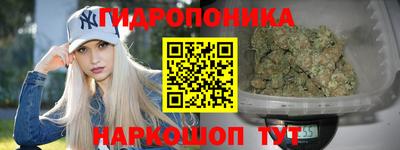 шишки Свободный
