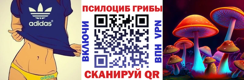 Псилоцибиновые грибы Cubensis  Соль-Илецк 