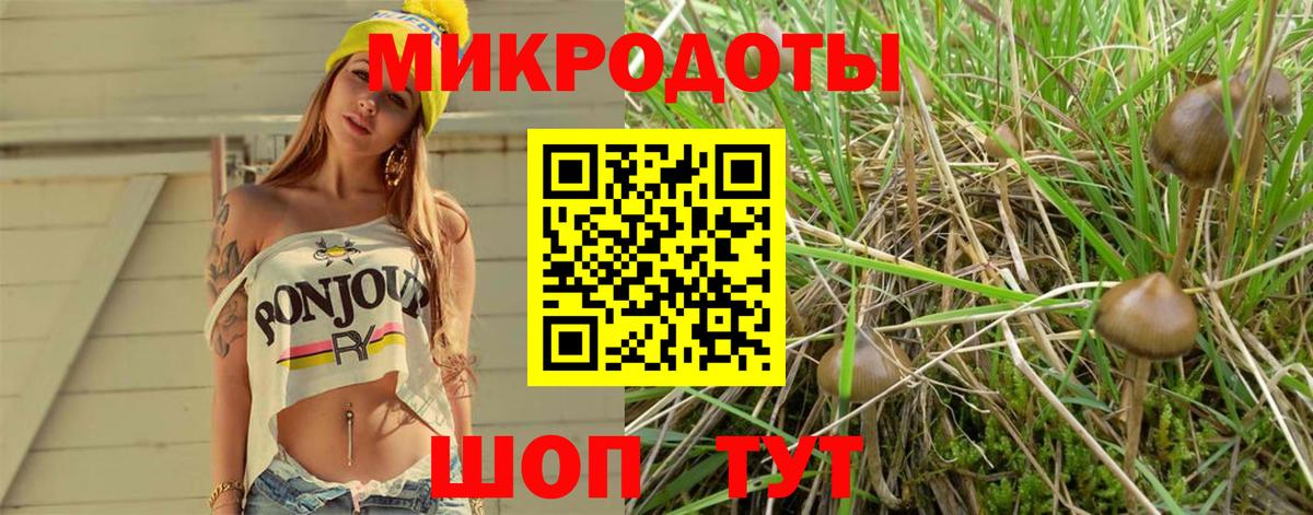 Псилоцибиновые грибы MAGIC MUSHROOMS Соль-Илецк