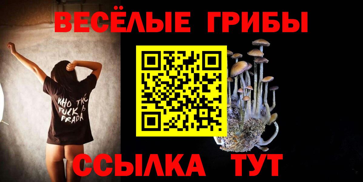 Галлюциногенные грибы Magic Shrooms  сколько стоит  Вход с VPN  Соль-Илецк  Галлюциногенные грибы Cubensis 
